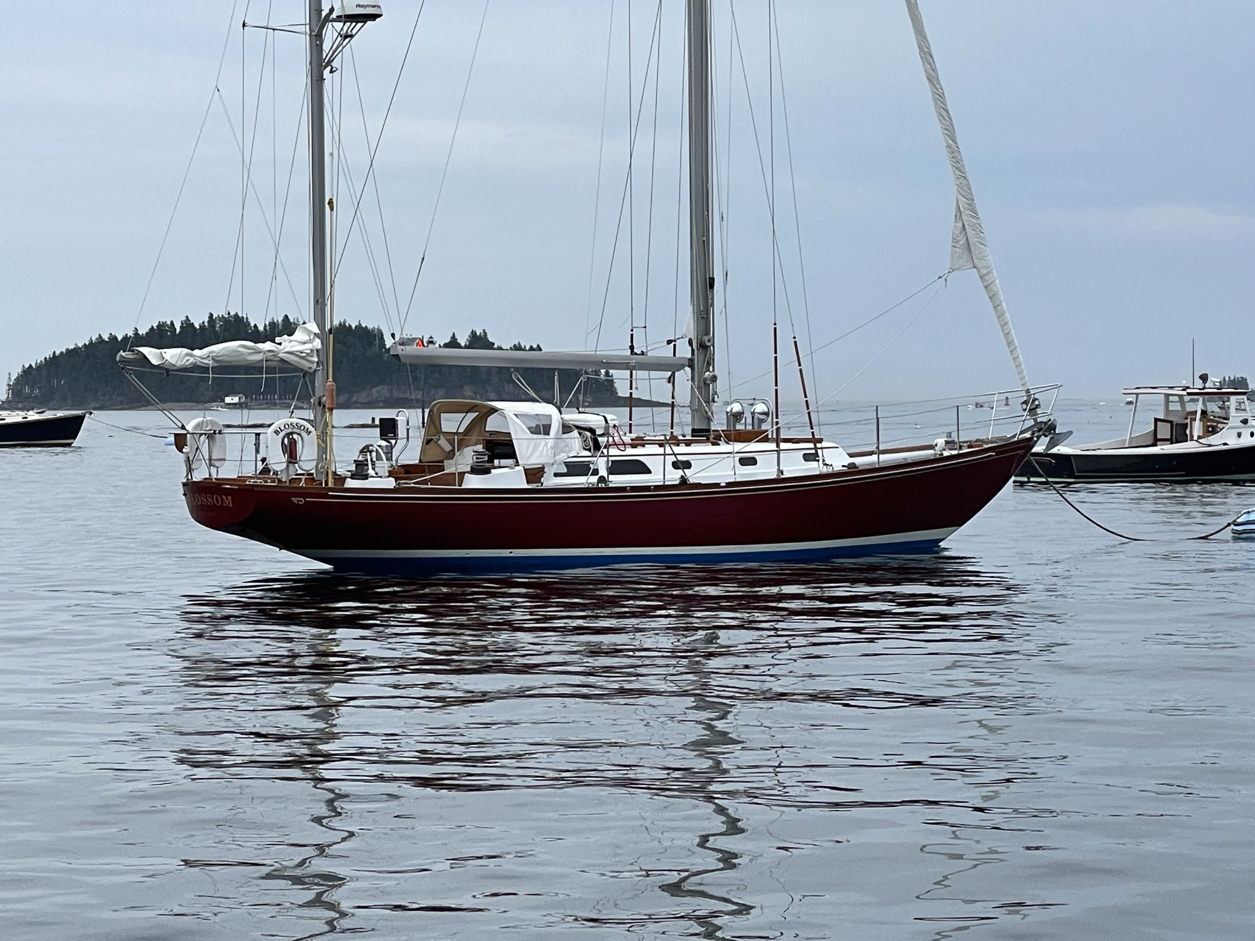 Bermuda 40
